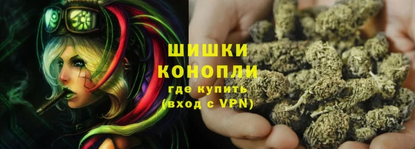 PSILOCYBIN Балахна