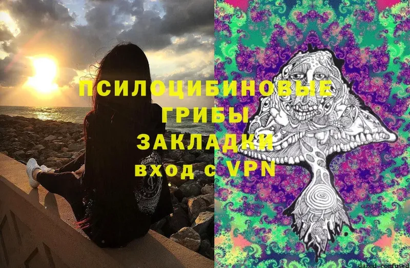 Галлюциногенные грибы Cubensis  Егорьевск 